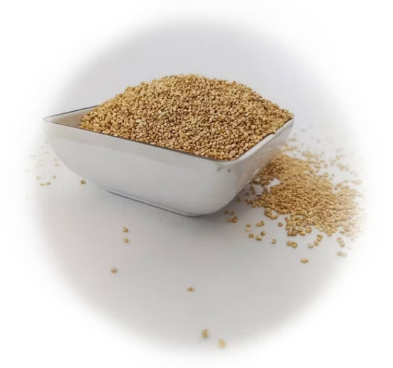 کورن گرانول